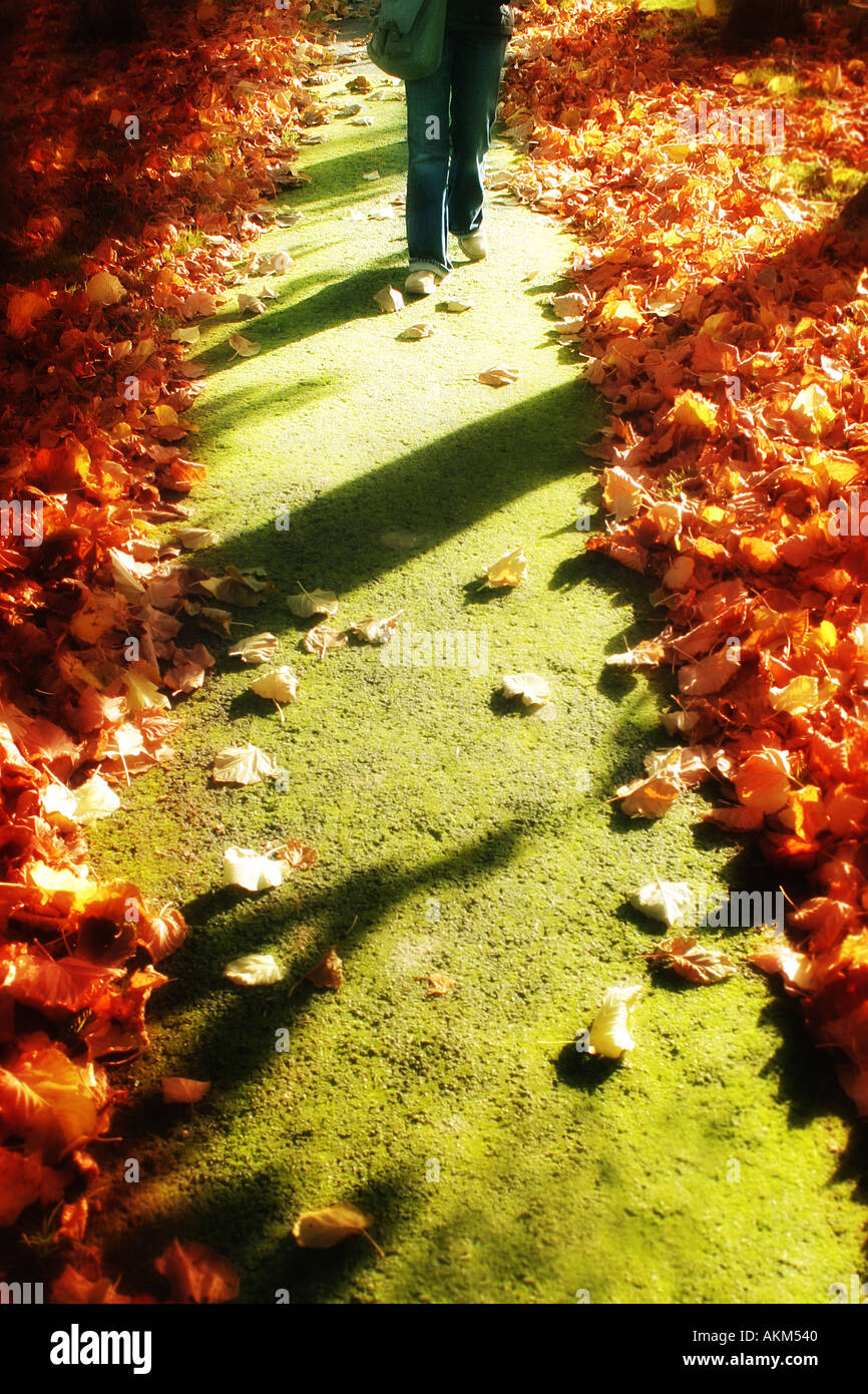 path 3 Stock Photo