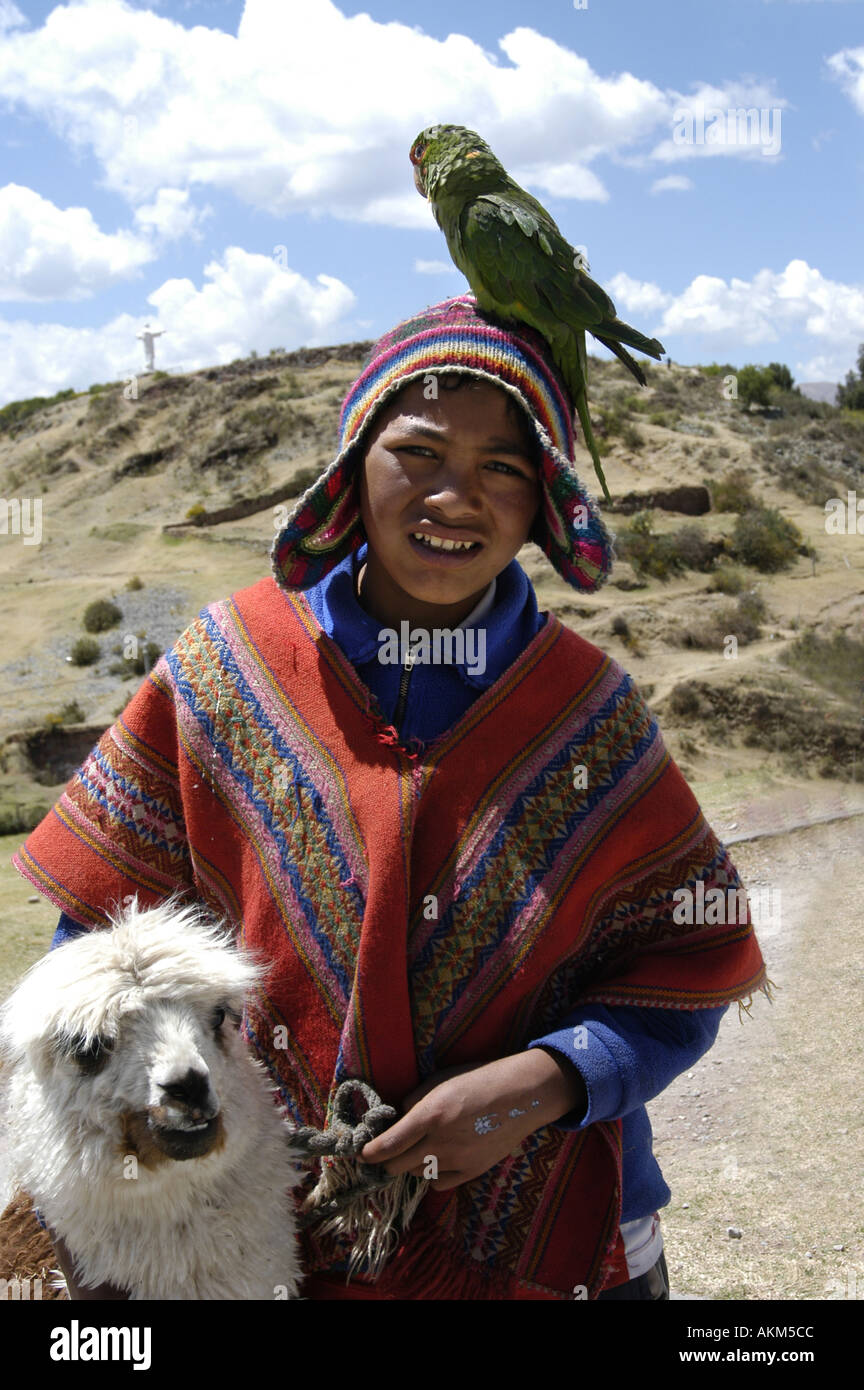 Indian boy with a parrot bird and an alpacka Cusco Peru Stock Photo