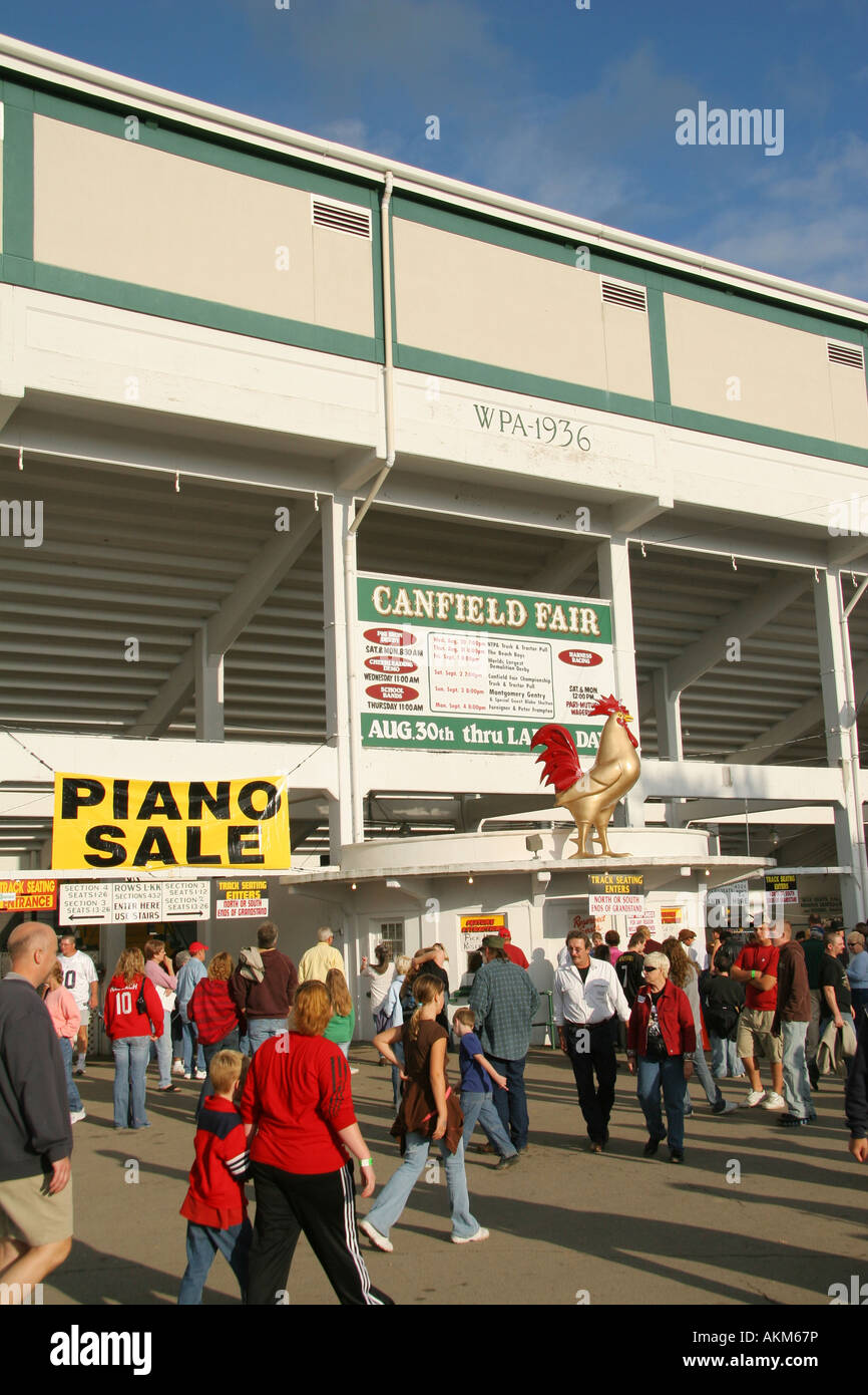 Canfield fair rooster view front hires stock photography and images