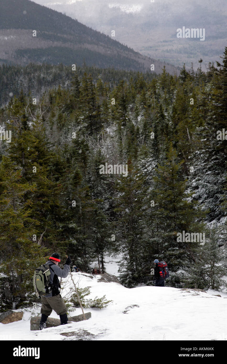 Hikers on Davis Path near Mount Crawford Located in the White Mountains