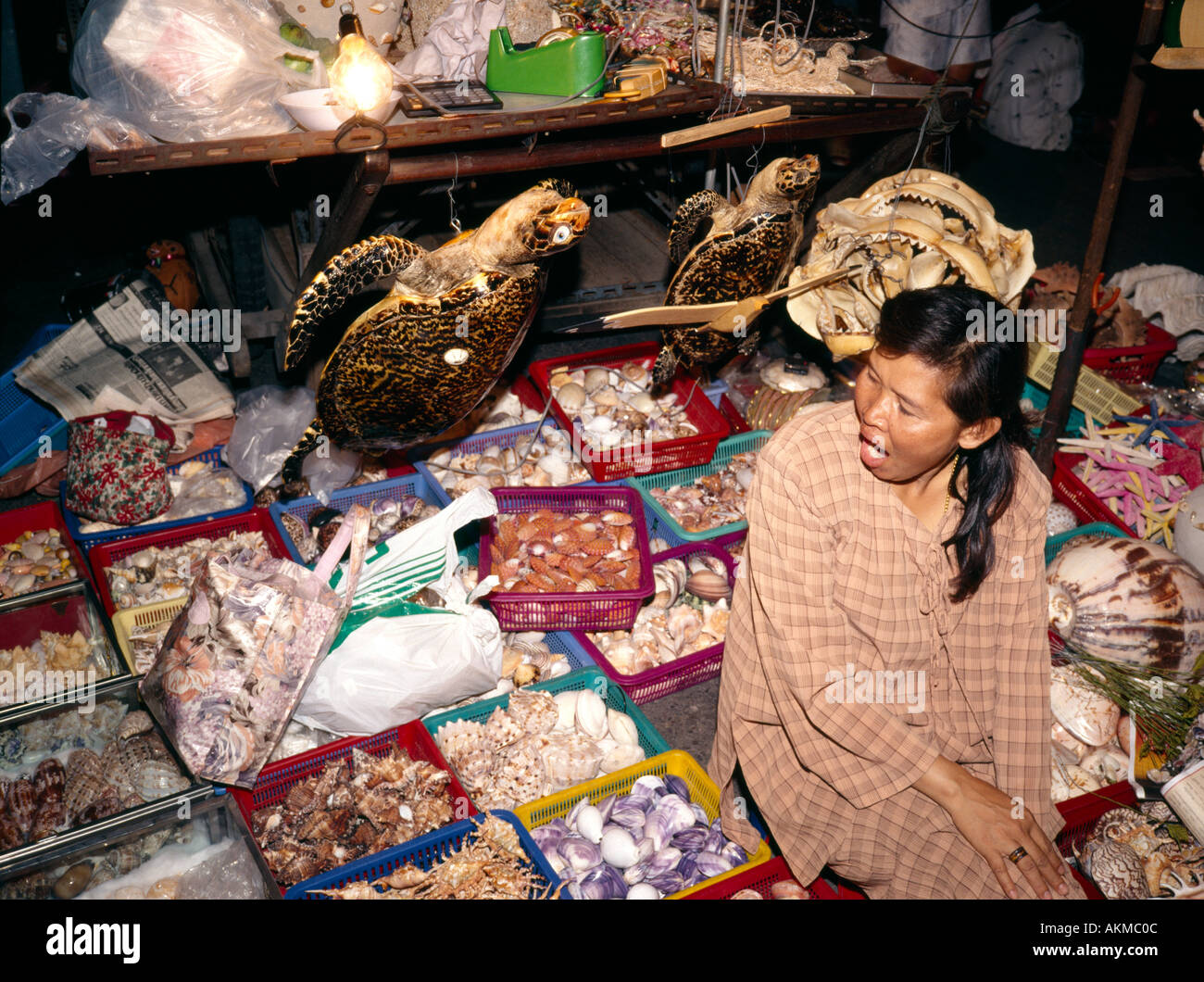 Thailand Hua Hin stall selling shells corals and Hawkbill Turtles Eretmochelys imbricata as souvenirs Stock Photo