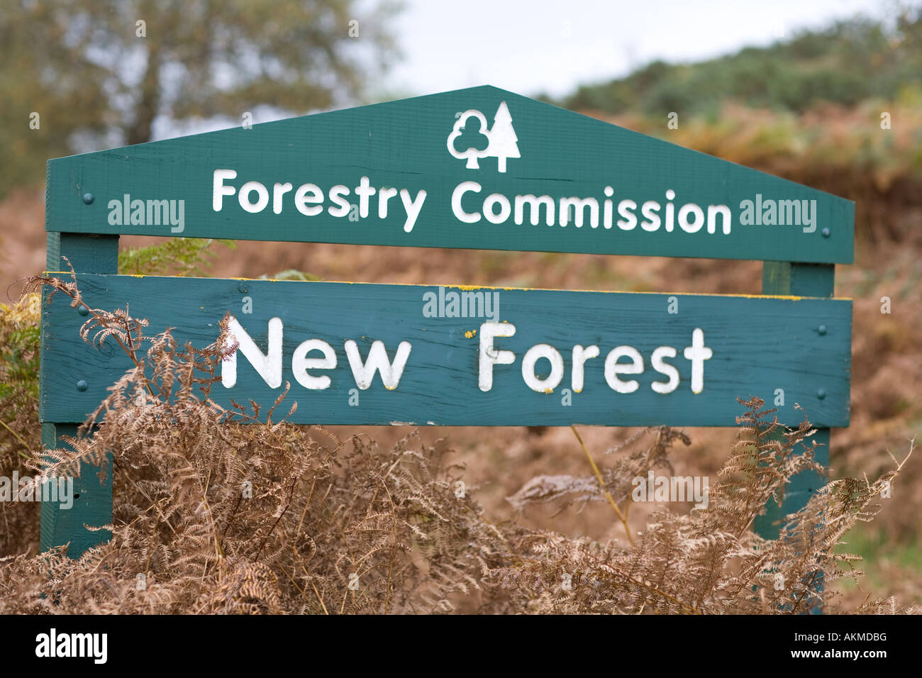 New Forest Forestry commission sign, Hampshire England Stock Photo