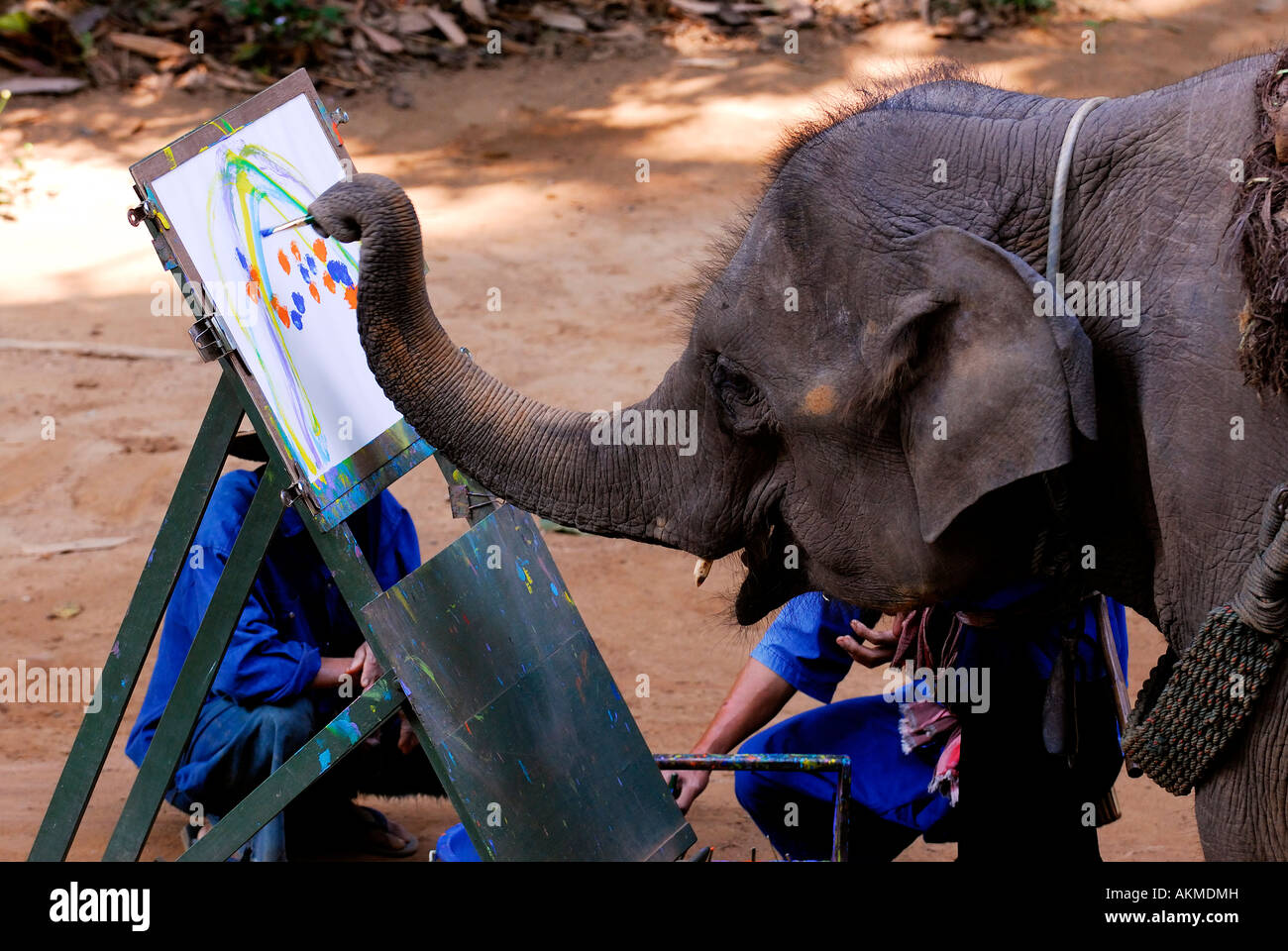 Thailand, Chiang Dao, Elephant Training Center Stock Photo