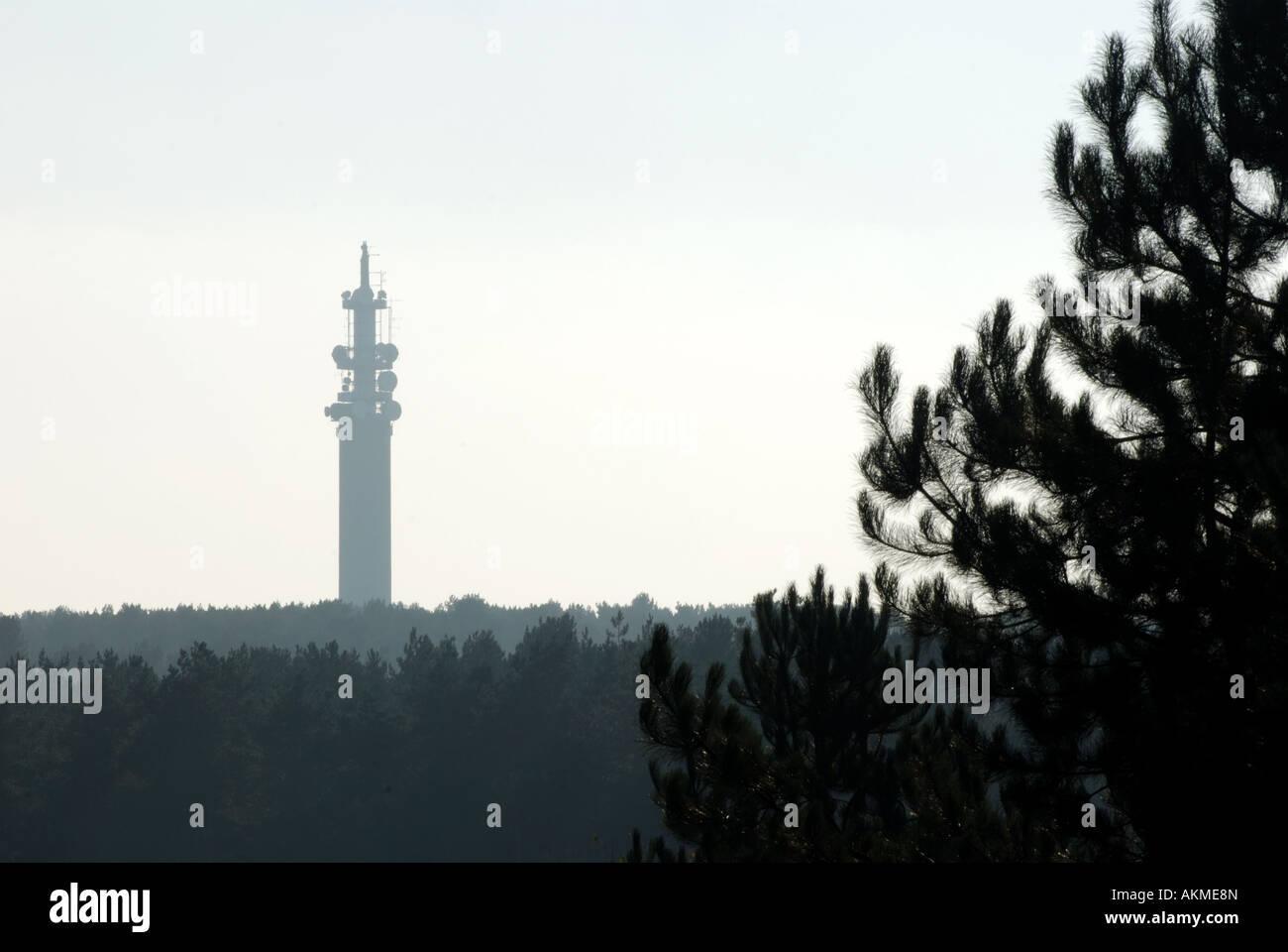 Telecom Tower, Cannock Chase, Staffordshire, England, UK Stock Photo