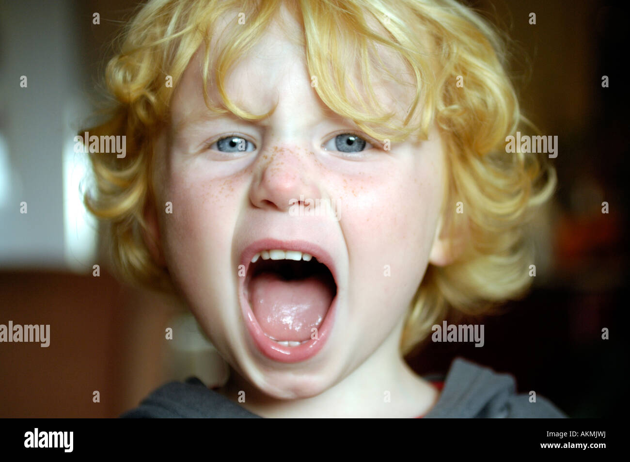 Three year old Boy screaming and shouting Stock Photo Alamy