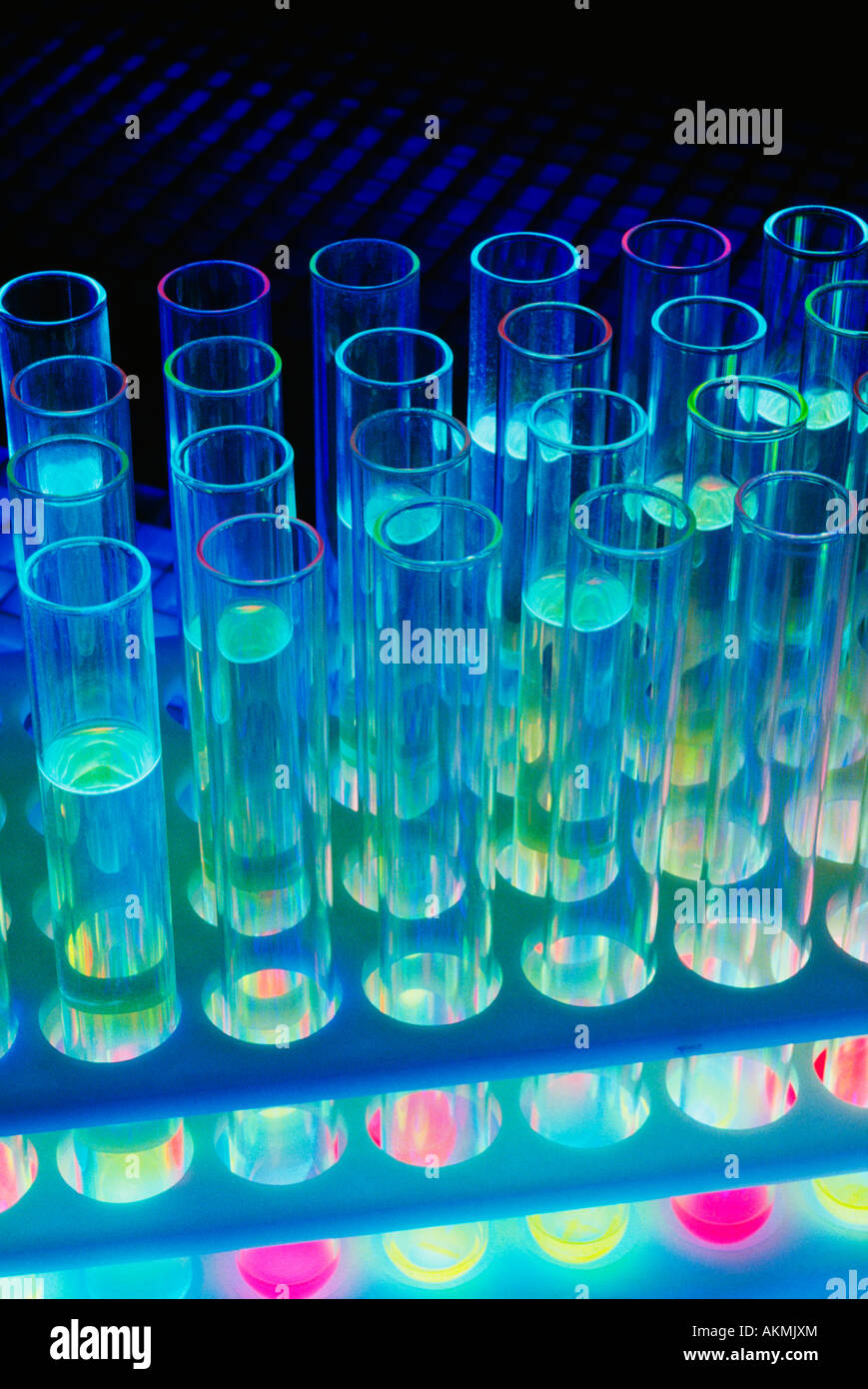 Test tubes in test tube rack Stock Photo Alamy