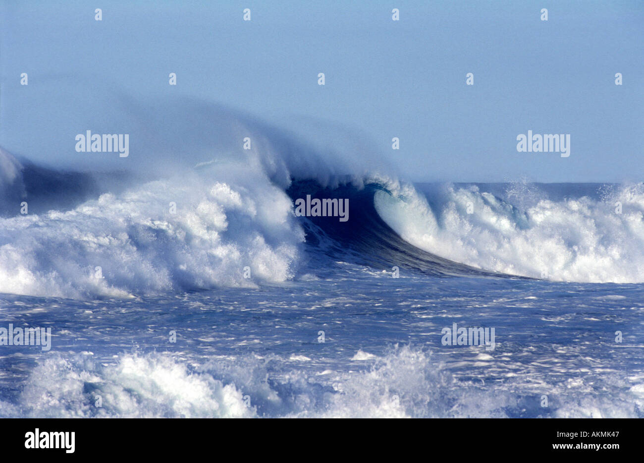 Large Wave Off Maui Hawaii USA Stock Photo - Alamy