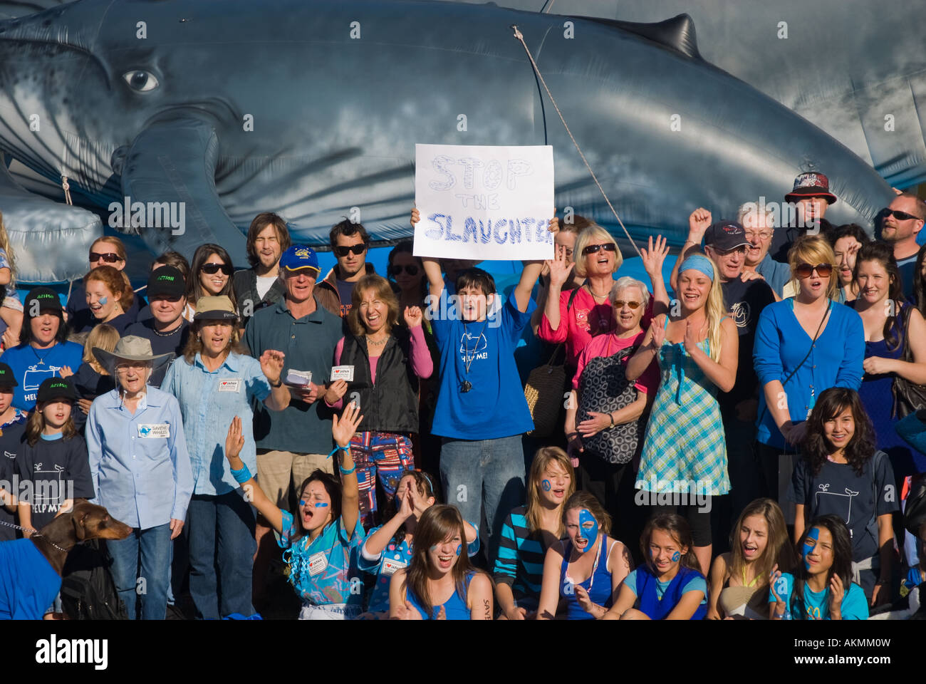 Anti-whaling protest, Bondi, Australia Stock Photo