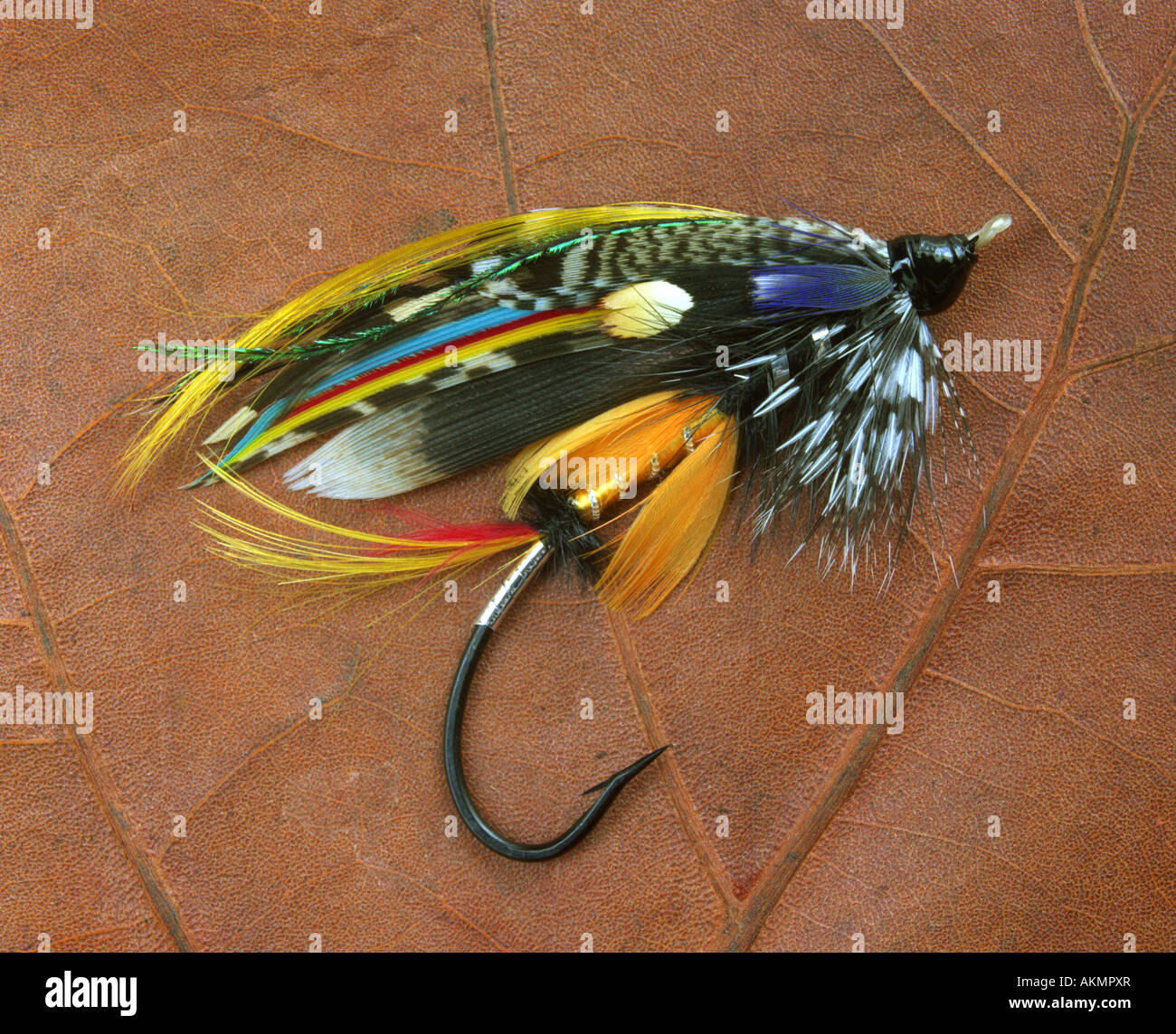 Tradionally dressed Jock Scott salmon fly created by John Scott 1850