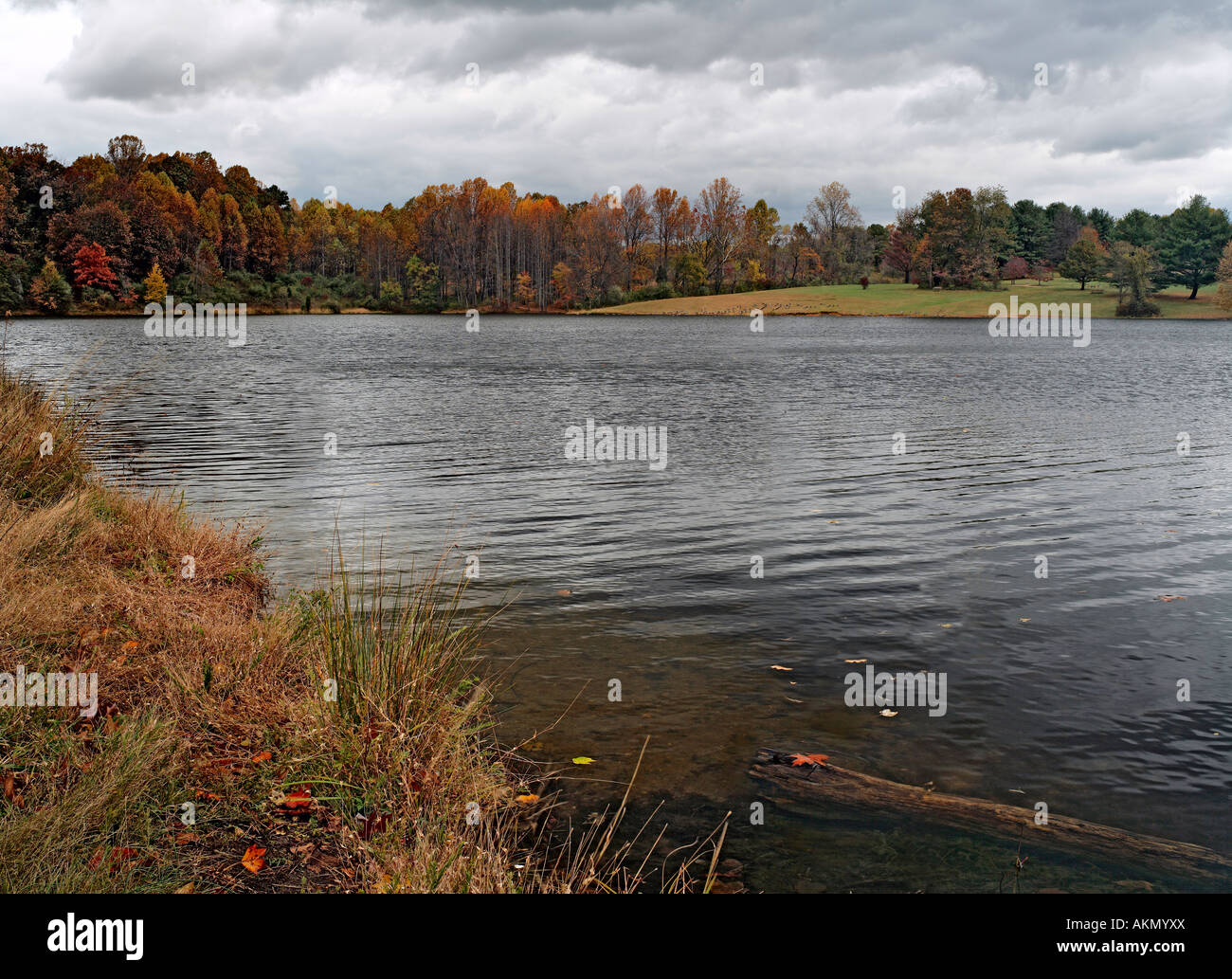 Fall colors at Seneca Creek State Park Germantown Maryland USA Stock Photo