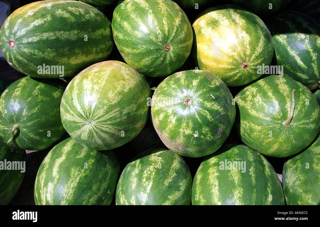 Watermelon on display in open air farmers market Traverse City Michigan