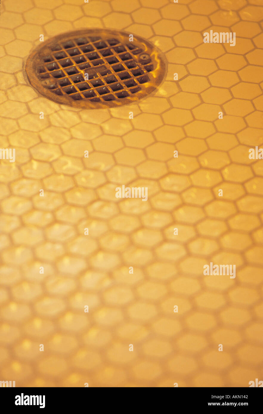 Shower drain wet floor Stock Photo Alamy