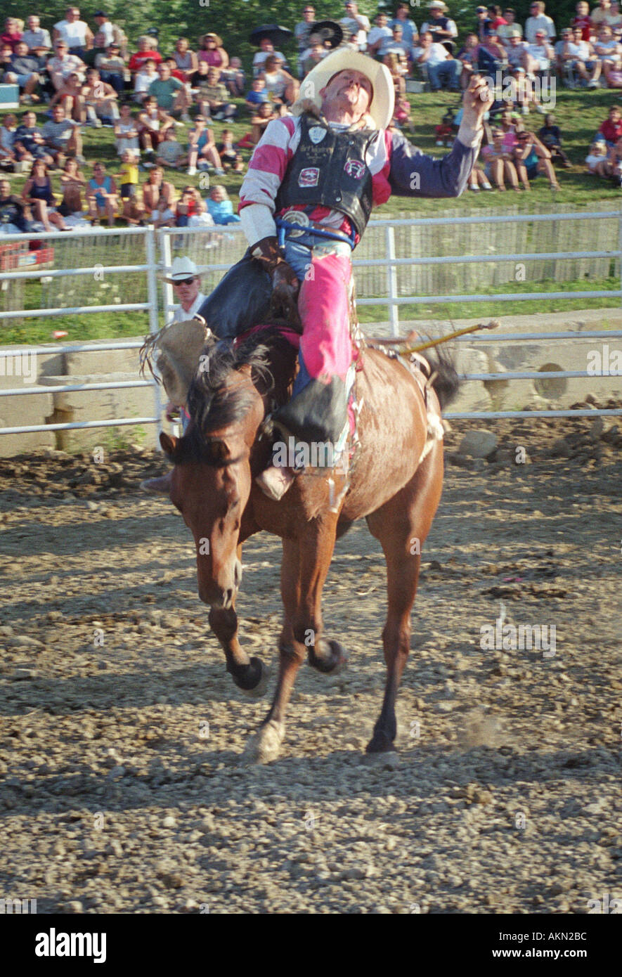 Rodeo horse sporting event Stock Photo