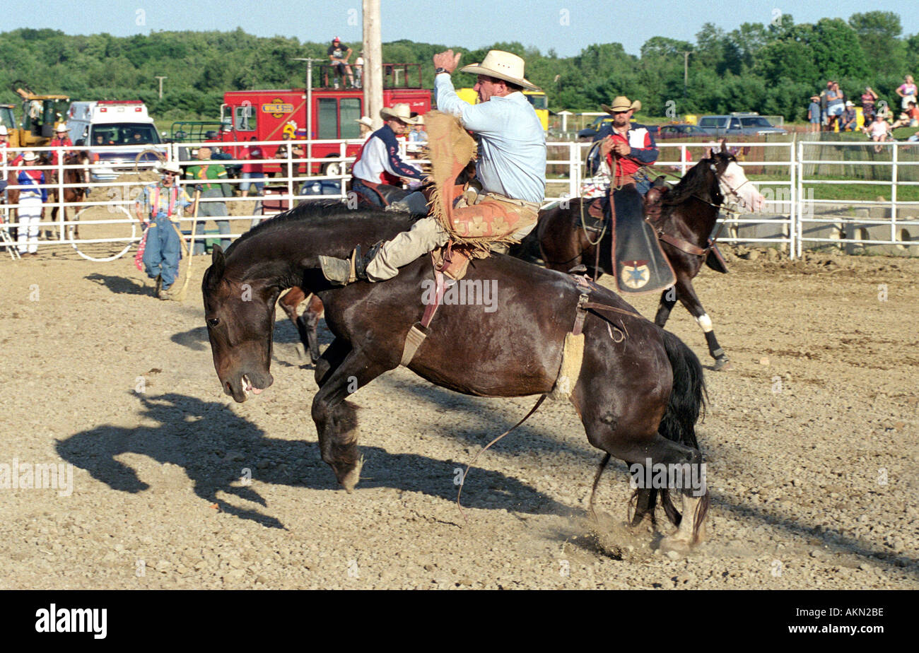 Rodeo and horse hires stock photography and images Alamy