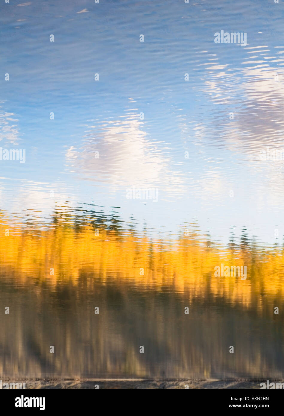 Reflecting Water Image Fall Reflection of fall foliage in water Stock Photo - Alamy