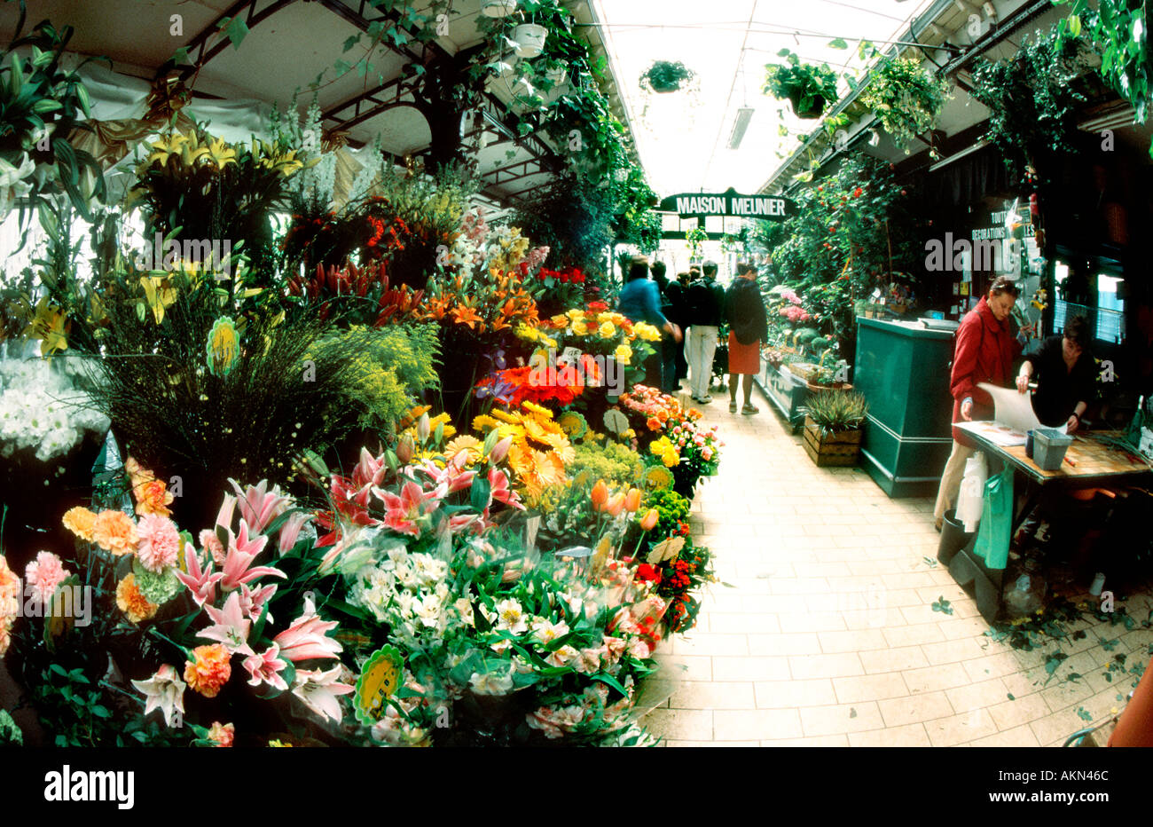 Paris France,  Shopping 'Ile de la Cité' 'Flower Market'  Place Louis Lepine House Plants, flower shop Stock Photo