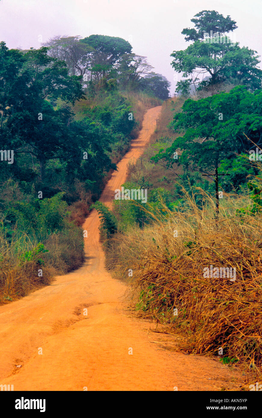 A red dirt dusty road leads into the bush near Man in west central Cote d'Ivoire Stock Photo