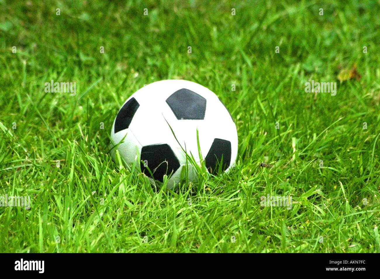1970s Football in nestled in long grass symbolic of aging of some of the great stars of that era football sport pitch ball bla Stock Photo