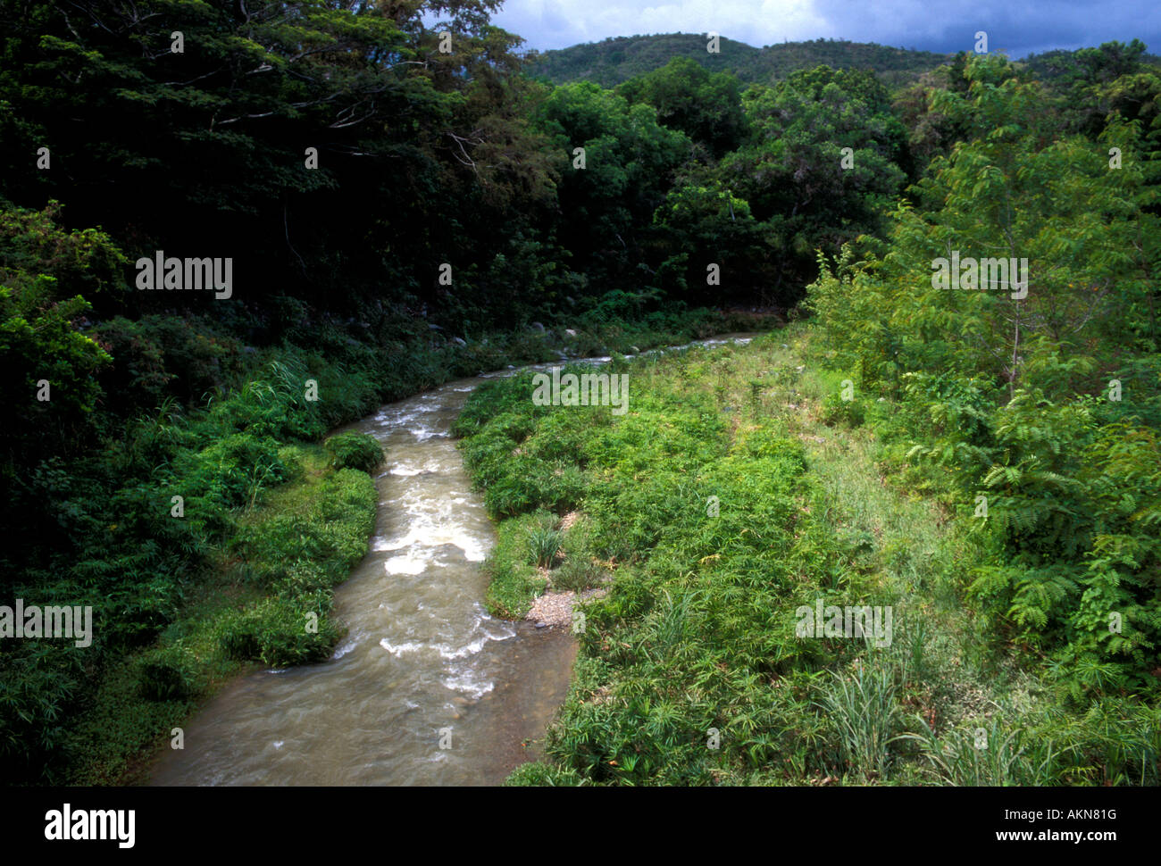 Portuguese River, near city of Ponce, Ponce, Puerto Rico, West Indies