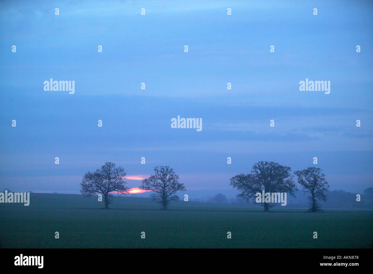 Trees with setting the sun hi-res stock photography and images - Alamy