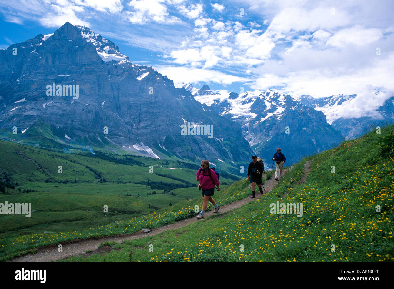 Three hikers hiking in the Swiss Alps near Grindelwald Switzerland ...
