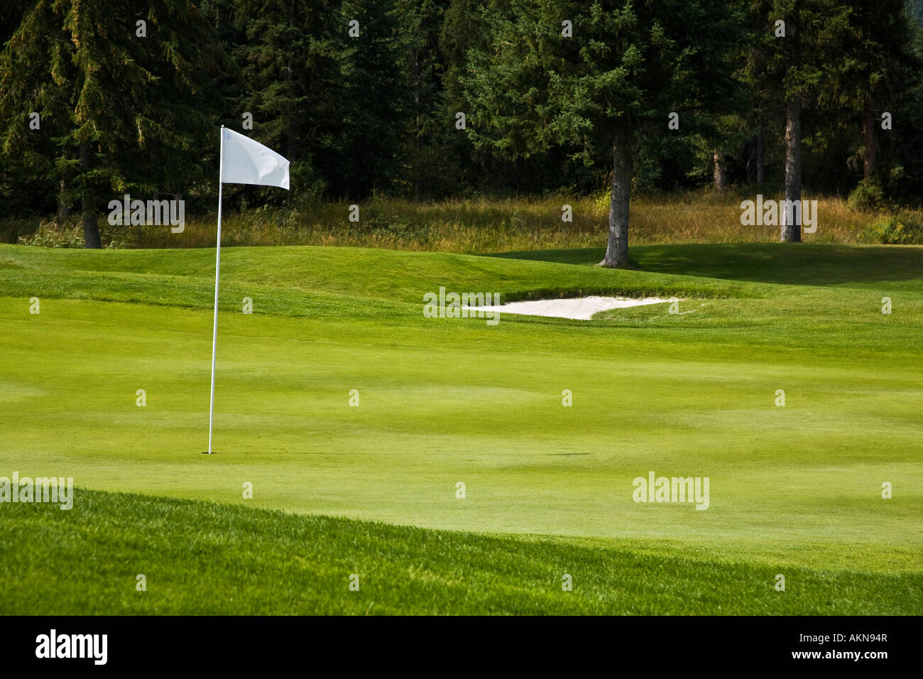 Putting green on a golf course, Fairmont, BC, Canada Stock Photo