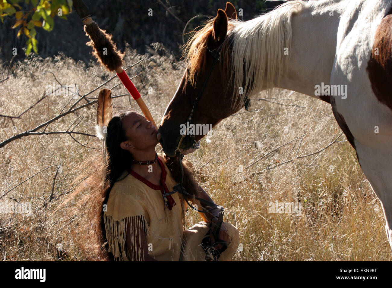 A Native American Indian boy wearing a feather getting a loving nudge from a horse holding a spear with buffalo hide on it Stock Photo