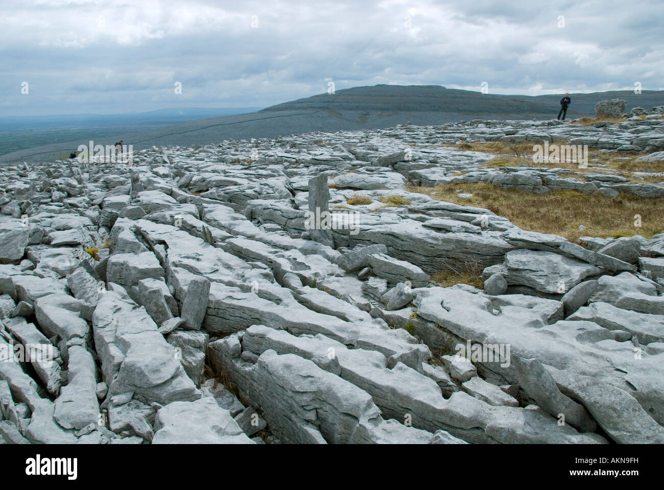 Limestone pavement on The Burren, County Clare, Ireland Stock Photo Alamy