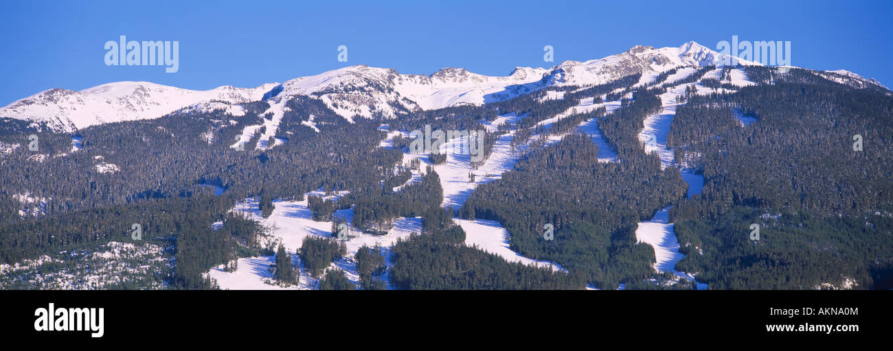 Ski Runs on Blackcomb Mountain in the Ski Resort of Whistler British Columbia Canada Stock Photo