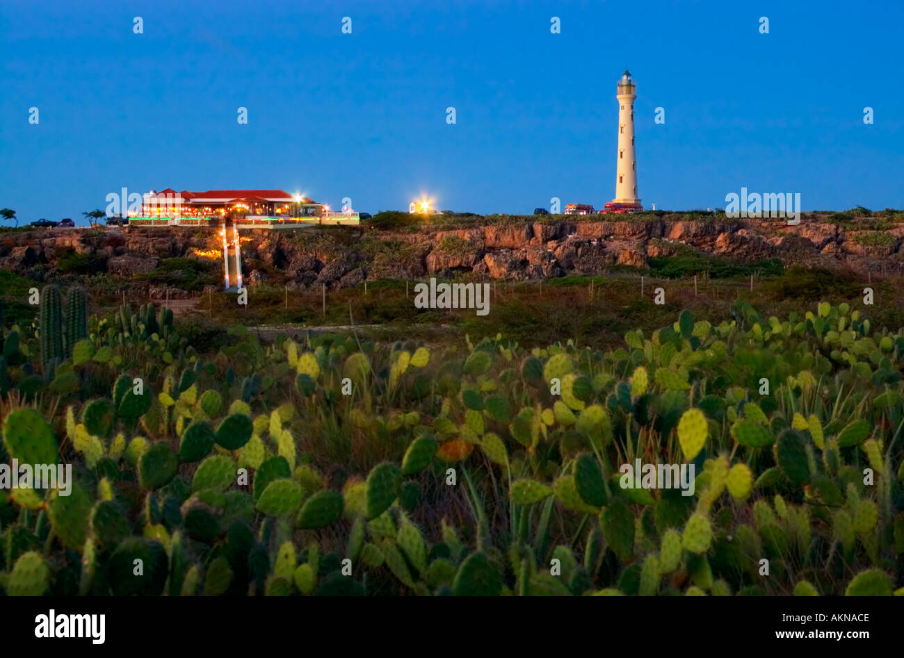 California Lighthouse Aruba Lesser Antilles Caribbean Stock Photo   California Lighthouse Aruba Lesser Antilles Caribbean AKNACE 