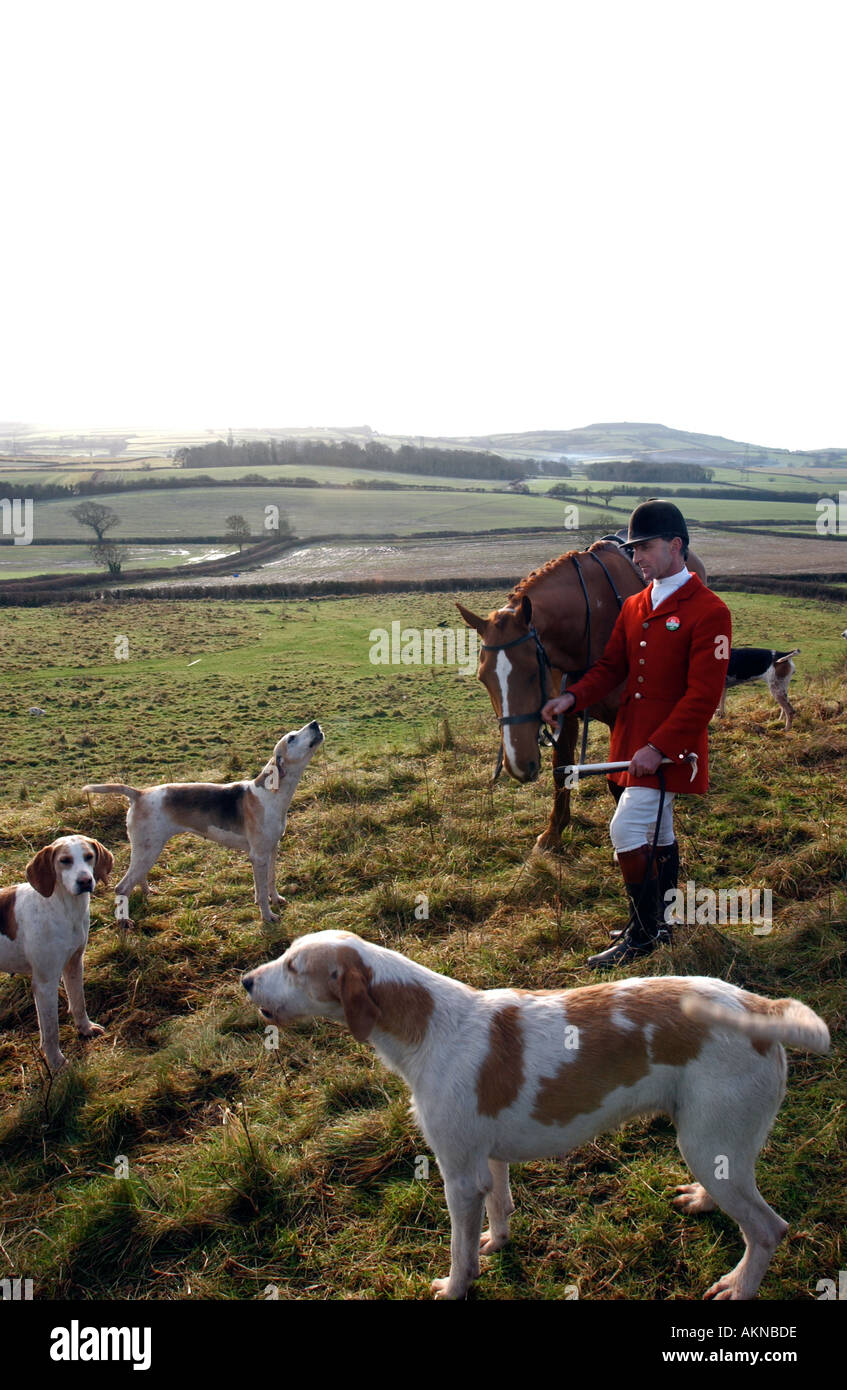 Is Hunting With Dogs Legal In The Uk