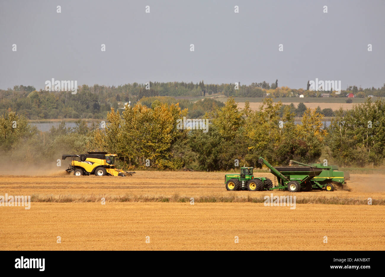 Fall harvest in Saskatchewan Stock Photo