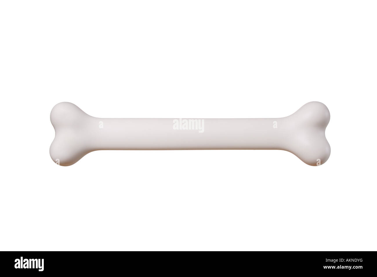 Large Dog Bone High Resolution Stock Photography and Images Alamy