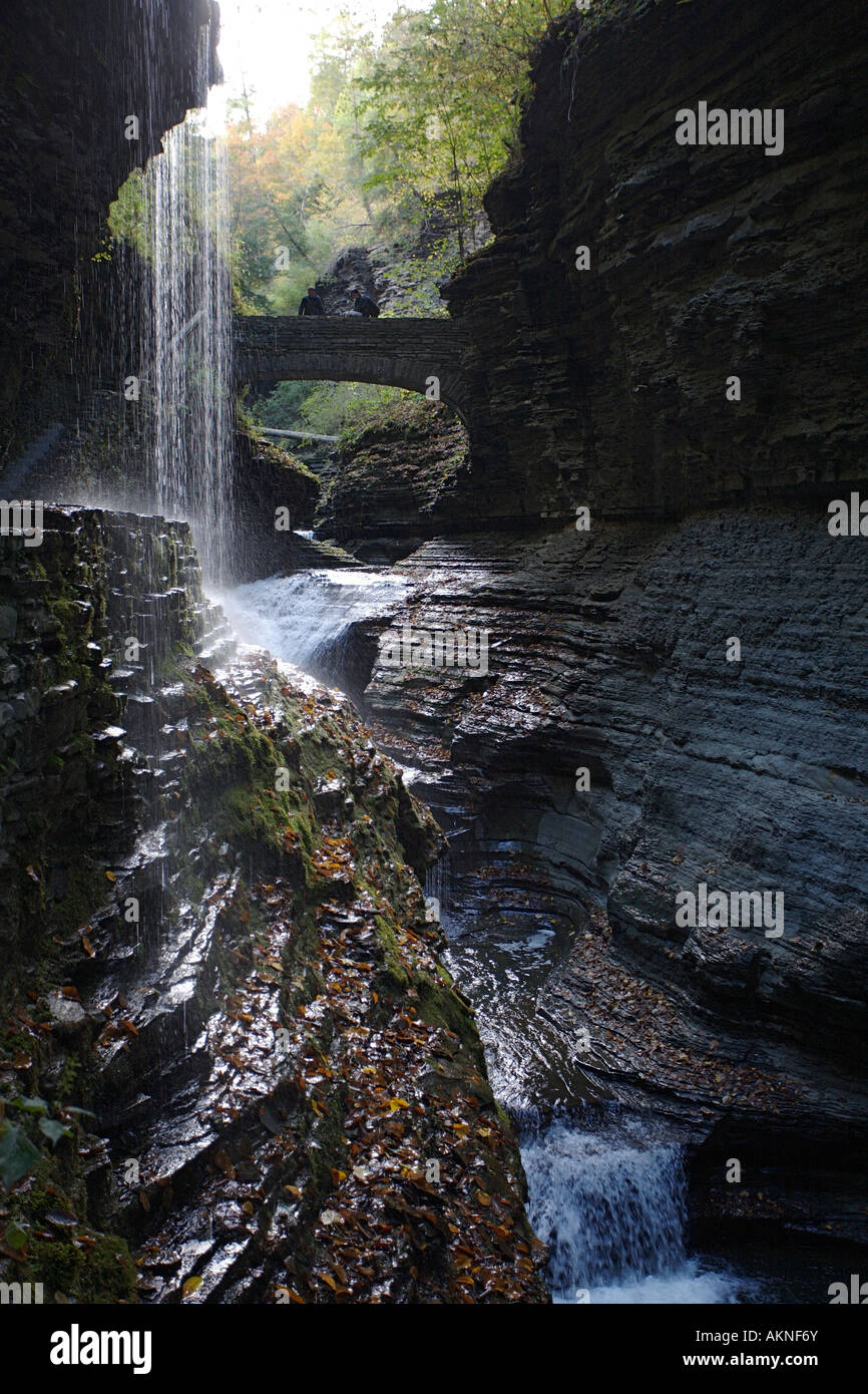 trail, State Park, Watkins Glen, Schuyler County, New York State