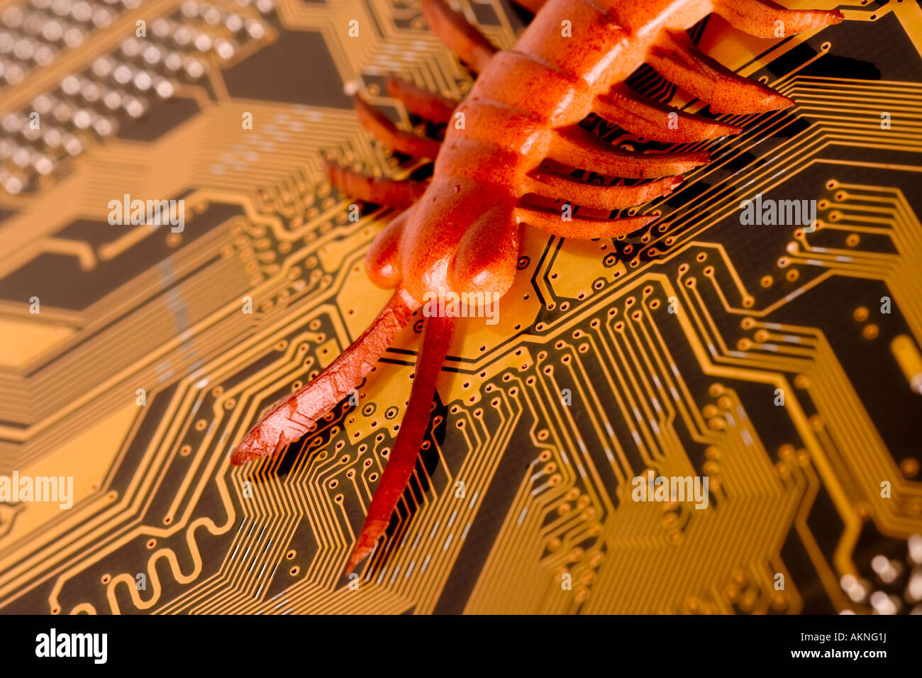 Digital close up photograph of a computer circuit board with a bug crawling over it Stock Photo