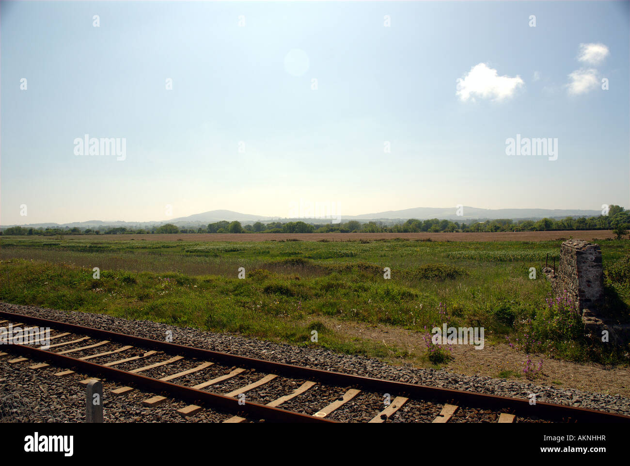 Railroad tracks run through marshlands Stock Photo