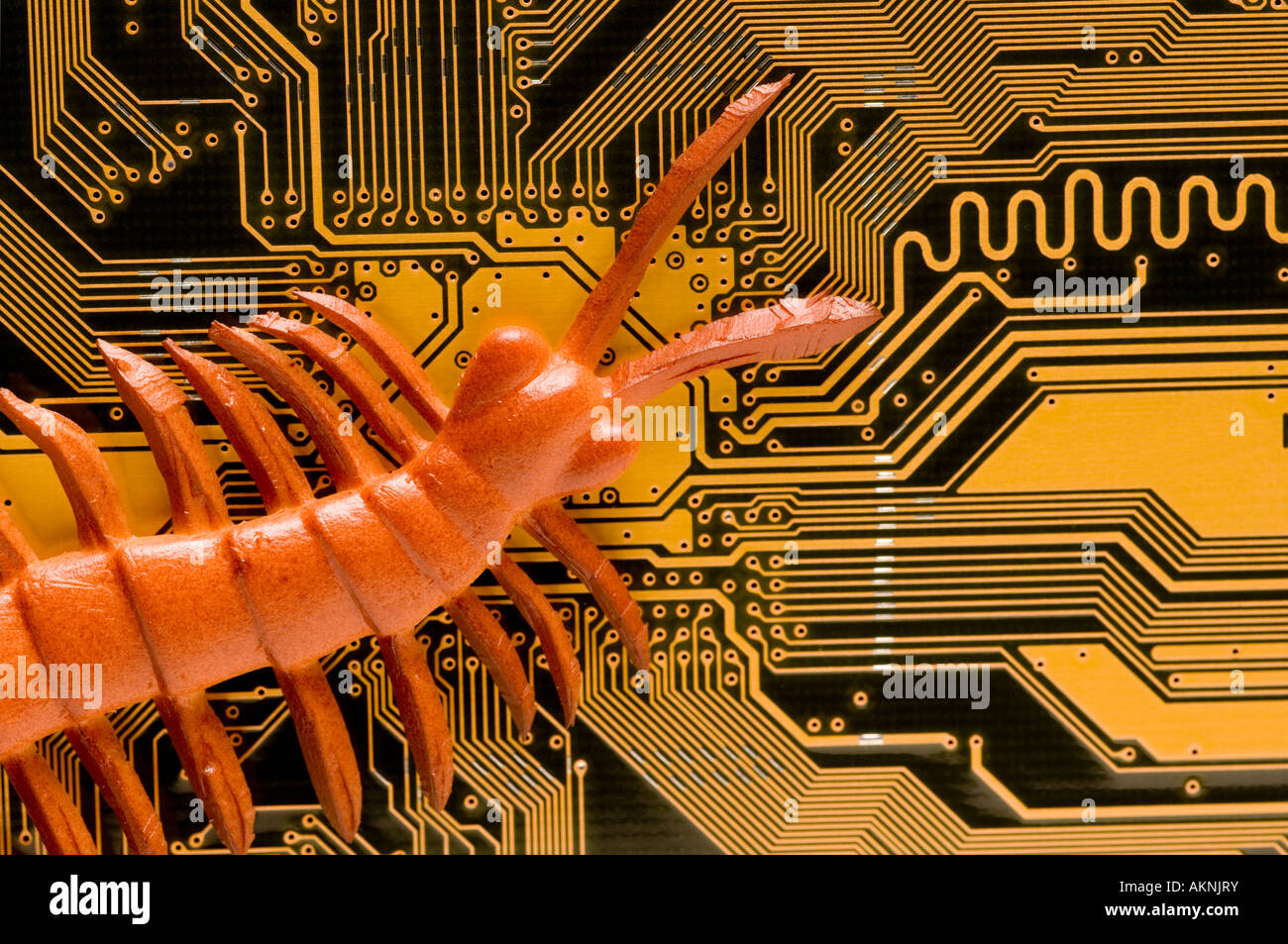 Digital close up photograph of a computer circuit board with a bug crawling over it Stock Photo