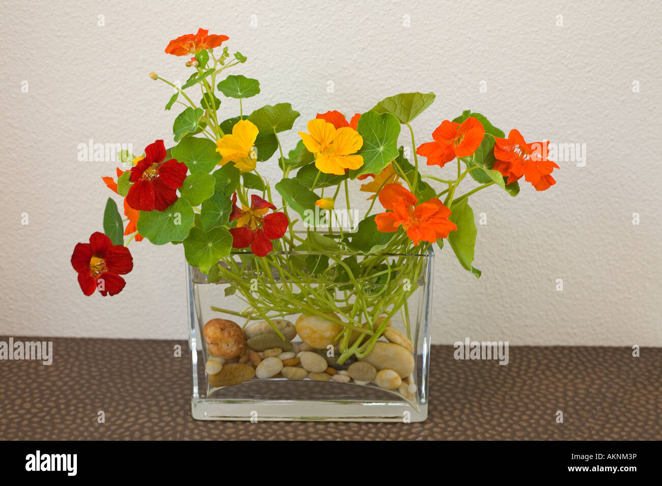 A Bunch Of Nasturtiums In A Vase Tropaeolum Sp Bouquet De Stock Photo Alamy