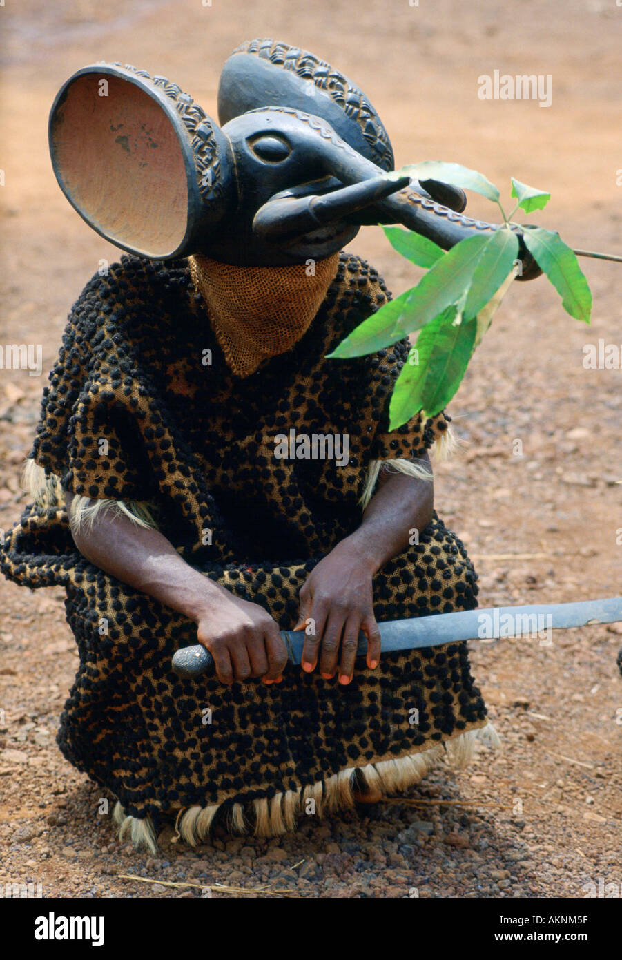 Tribal dancer with elephant headdress Bamenda Cameroon Africa Stock Photo