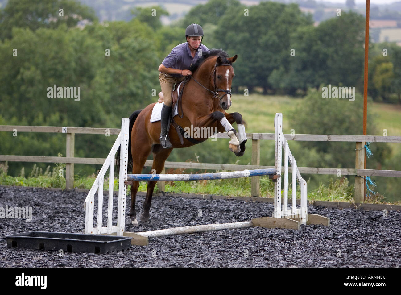 Young man schools a Dutch Warmblood horse Oxfordshire England Stock Photo