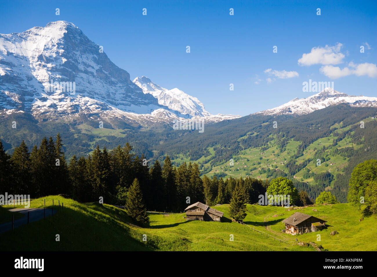 View to Eiger north face 3970 m Grindelwald Bernese Oberland highlands  Canton of Bern Switzerlan Stock Photo - Alamy