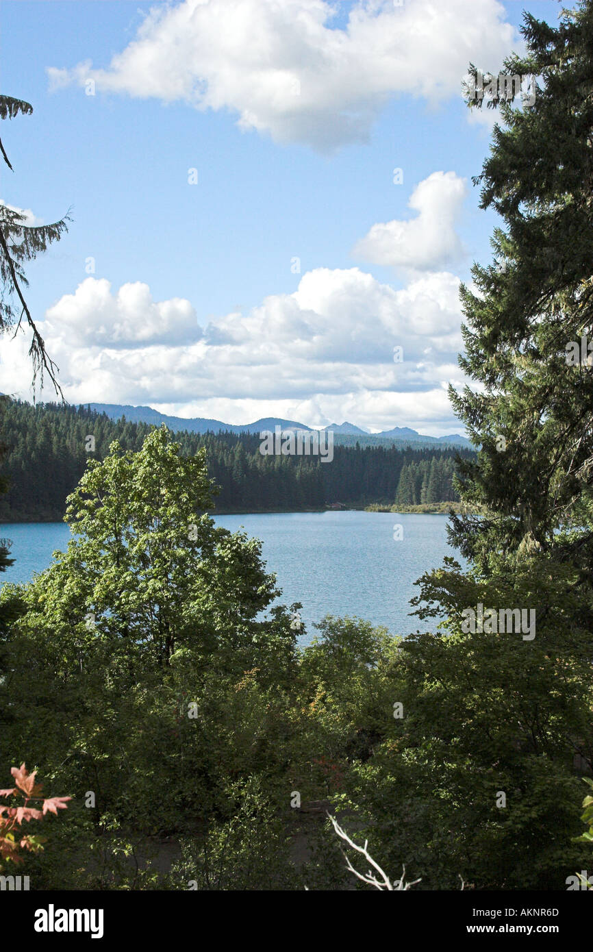 Clear Lake Near Santiam Pass Oregon Cascades 2005 Stock Photo