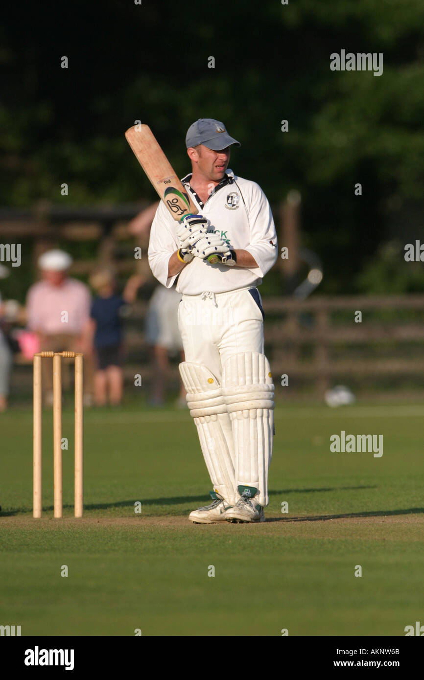 batsman waiting to hit a cricket ball during a village game Stock Photo