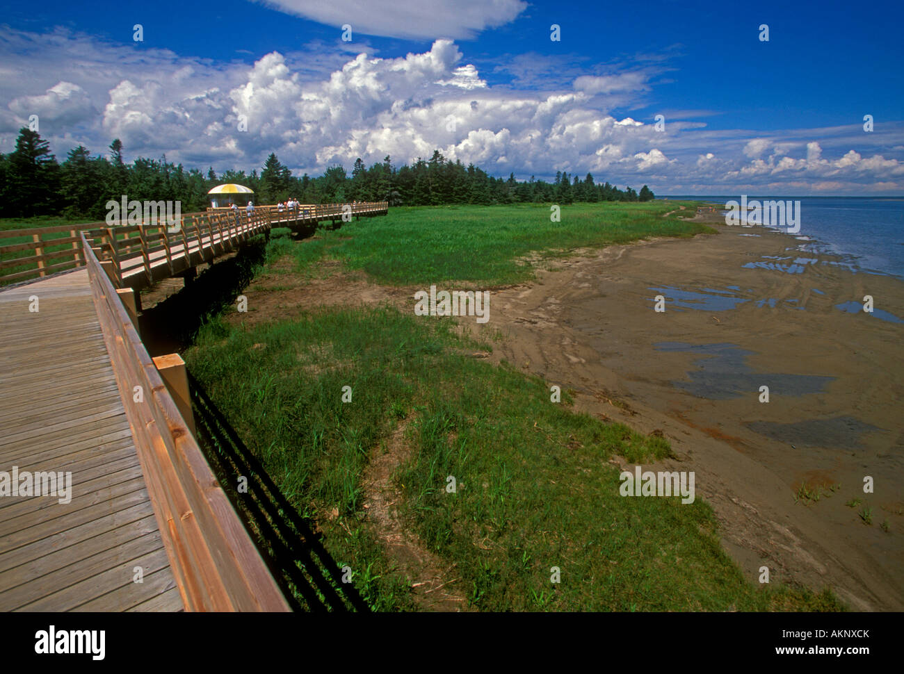 Boardwalk, Kouchibouguac National Park, barrier island, Richibucto, New