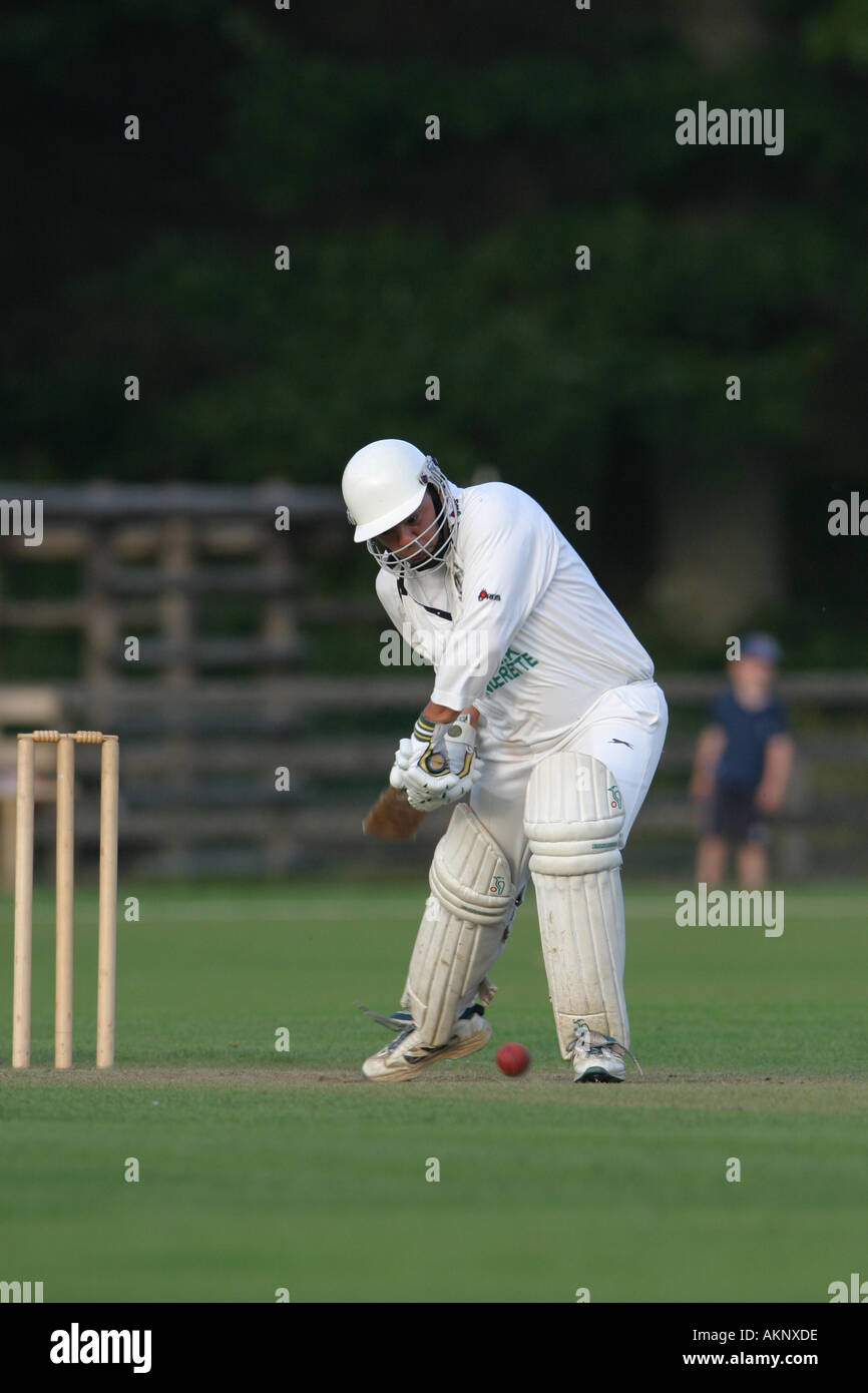 batsman hitting a cricket ball Stock Photo Alamy