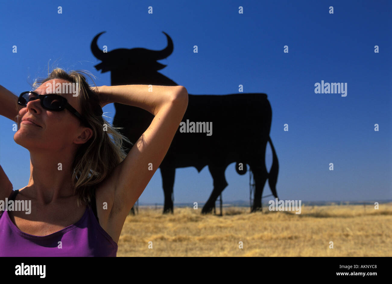 The Osborne bull in Extremadura Stock Photo Alamy
