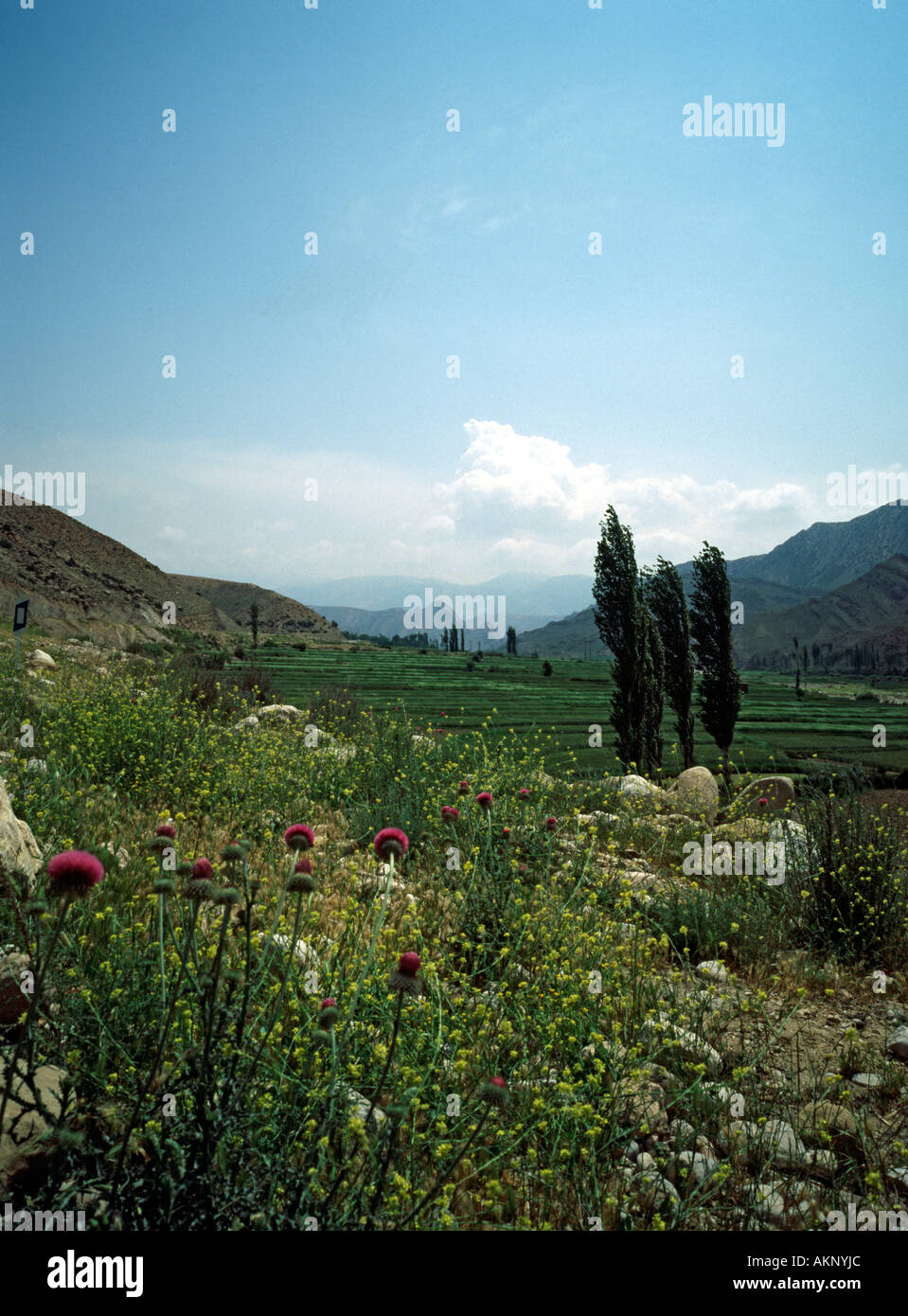 landscape, valley beside Gurgan-Bastam road, northern Iran Stock Photo
