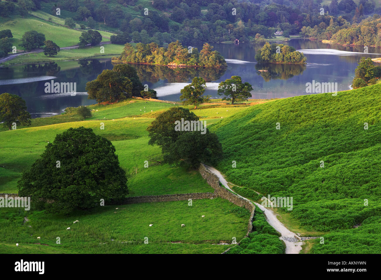 The late evening sun on Rydal Water near Grasmere in the Lake District National Park, UK. Stock Photo