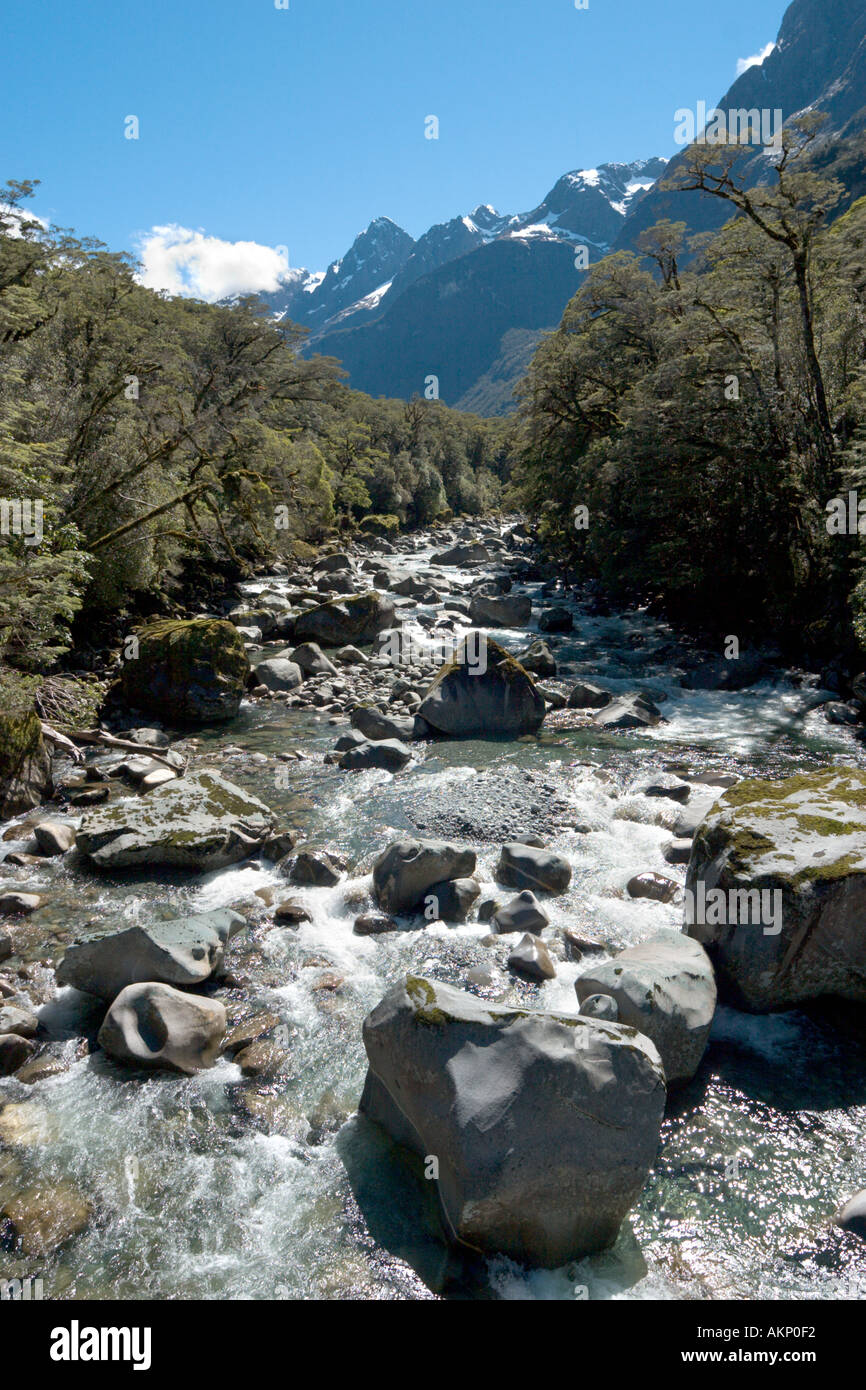 River Topuni in the Tutoko Topuni area, Milford to Te Anau road, Fiordland, South Island, New Zealand Stock Photo