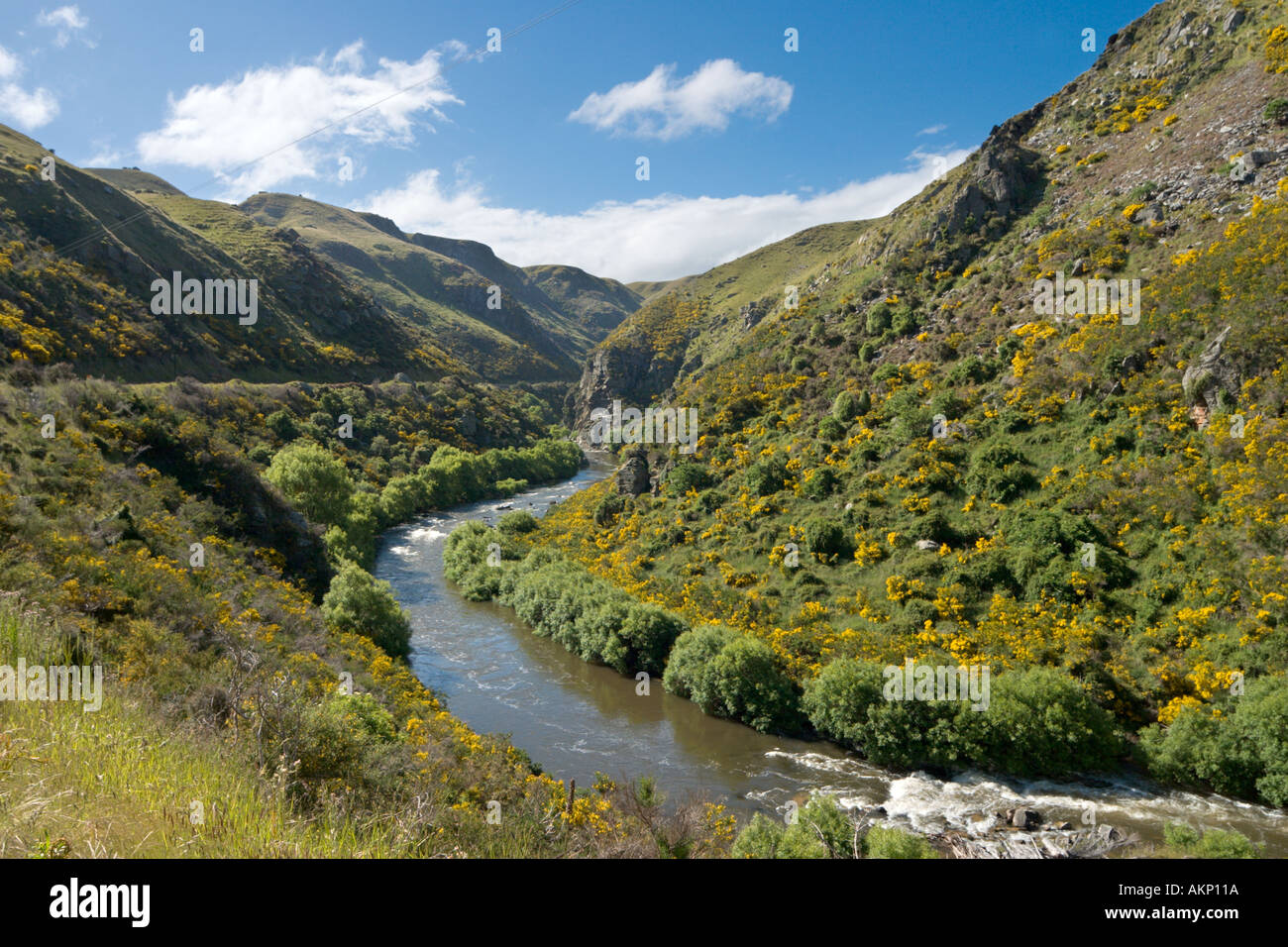 View from the trackside on the Taieri Gorge Railway from Dunedin, Otago, South Island, New Zealand Stock Photo